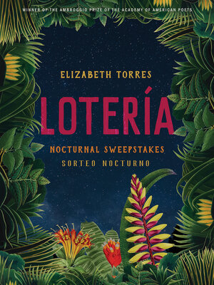 cover image of Lotería